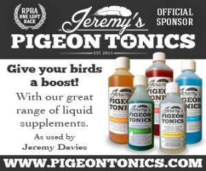 Jeremy's Pigeon Tonics